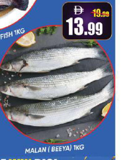 available at Leptis Hypermarket  in UAE - Al Ain