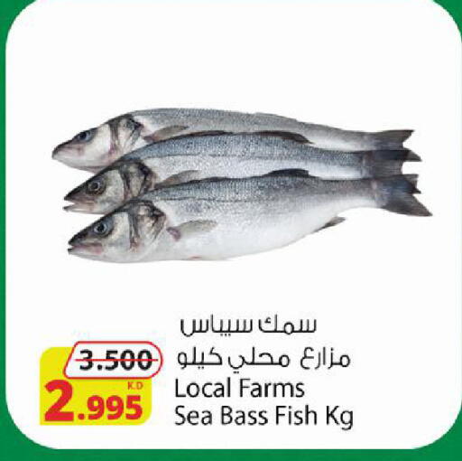 available at شركة المنتجات الزراعية الغذائية in الكويت - محافظة الجهراء