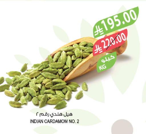 Cardamom available at Farm  in KSA, Saudi Arabia, Saudi - Najran
