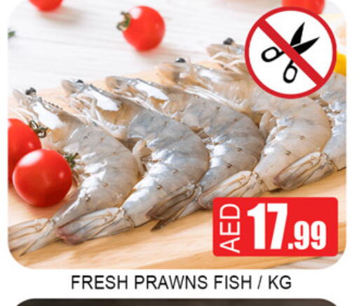 available at Lucky Center in UAE - Sharjah / Ajman