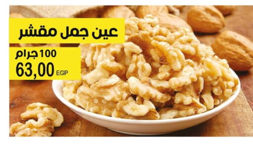 available at Flamingo Hyper Market in Egypt - Cairo