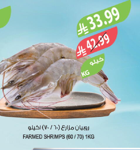 available at المزرعة in مملكة العربية السعودية, السعودية, سعودية - نجران