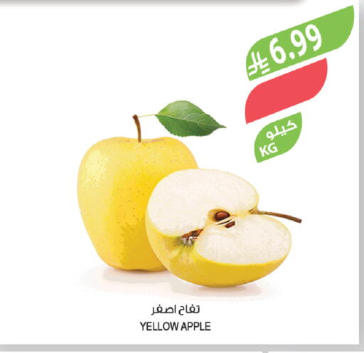 Apple available at Farm  in KSA, Saudi Arabia, Saudi - Sakaka