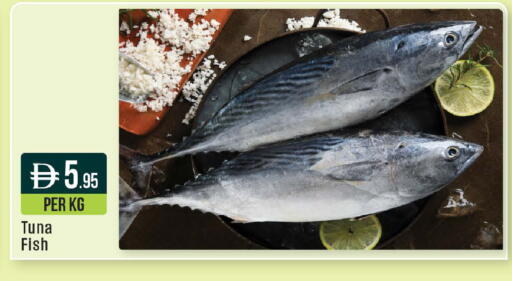 available at ويست زون سوبرماركت in الإمارات العربية المتحدة , الامارات - دبي