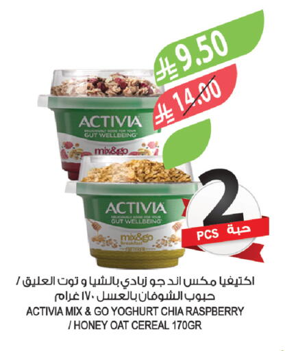 Raspberry available at Farm  in KSA, Saudi Arabia, Saudi - Qatif