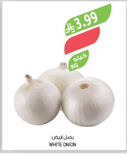 Onion available at Farm  in KSA, Saudi Arabia, Saudi - Al Khobar
