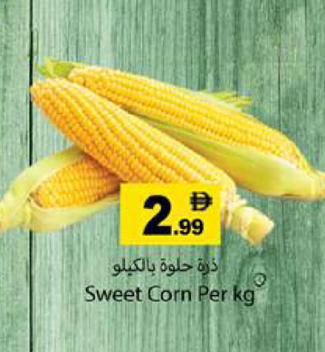 available at Gulf Hypermarket LLC in UAE - Ras al Khaimah