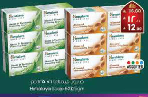 available at City Flower in KSA, Saudi Arabia, Saudi - Hail