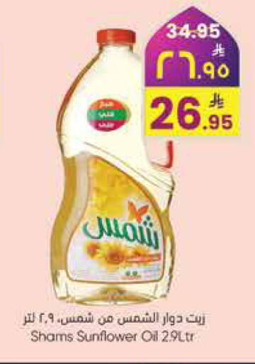 available at City Flower in KSA, Saudi Arabia, Saudi - Hail