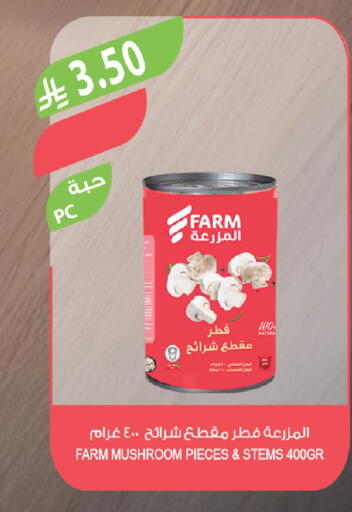 Mushroom available at Farm  in KSA, Saudi Arabia, Saudi - Sakaka