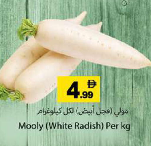 Radish available at Gulf Hypermarket LLC in UAE - Ras al Khaimah