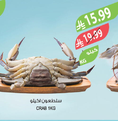 available at المزرعة in مملكة العربية السعودية, السعودية, سعودية - أبها