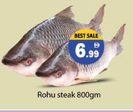 available at جلف هايبرماركت ذ.م.م in الإمارات العربية المتحدة , الامارات - رَأْس ٱلْخَيْمَة