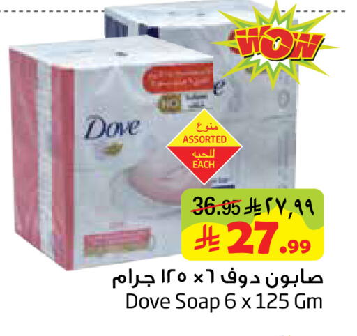 available at Layan Hyper in KSA, Saudi Arabia, Saudi - Dammam