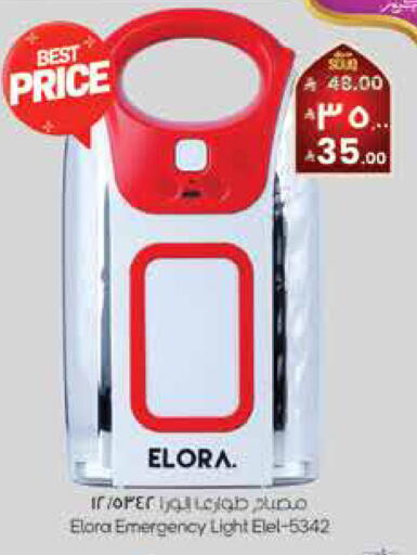 available at City Flower in KSA, Saudi Arabia, Saudi - Hail