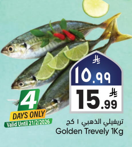 available at ستي فلاور in مملكة العربية السعودية, السعودية, سعودية - نجران