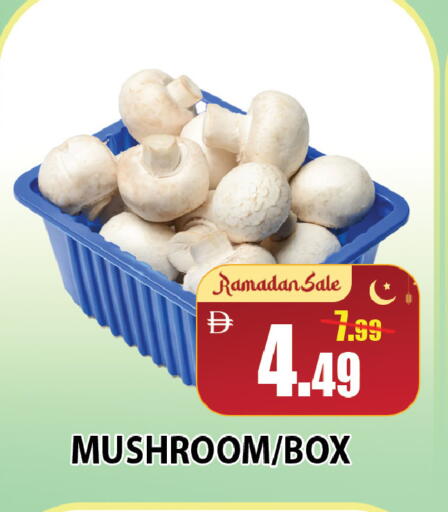 Mushroom available at ليبتس هايبرماركت in الإمارات العربية المتحدة , الامارات - رَأْس ٱلْخَيْمَة