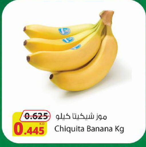 Banana available at شركة المنتجات الزراعية الغذائية in الكويت - محافظة الجهراء