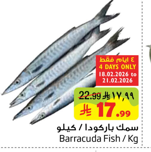 available at ليان هايبر in مملكة العربية السعودية, السعودية, سعودية - المنطقة الشرقية