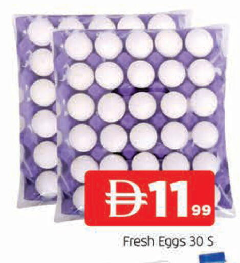 available at المدينة in الإمارات العربية المتحدة , الامارات - الشارقة / عجمان