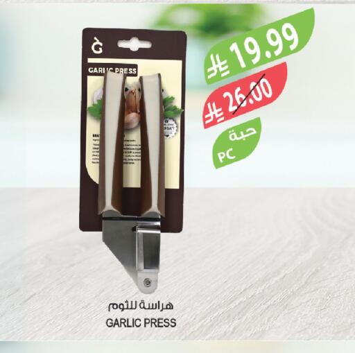 Garlic available at Farm  in KSA, Saudi Arabia, Saudi - Arar