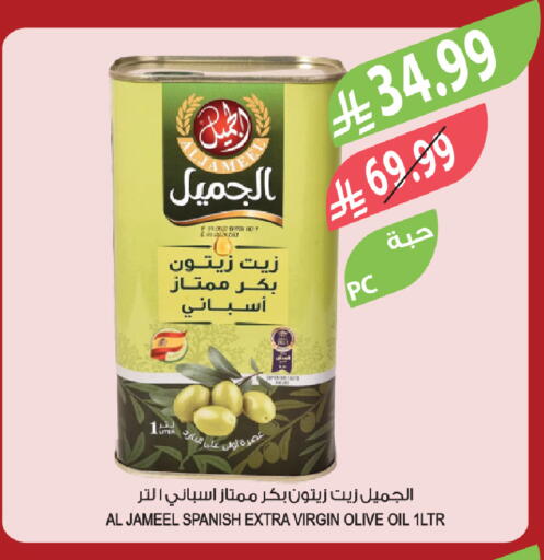 available at Farm  in KSA, Saudi Arabia, Saudi - Arar
