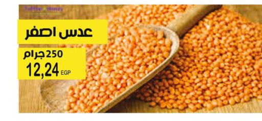 available at Flamingo Hyper Market in Egypt - Cairo