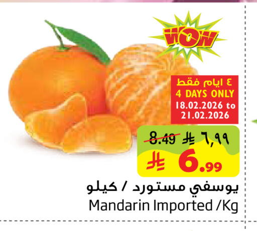 Mandarin available at Layan Hyper in KSA, Saudi Arabia, Saudi - Dammam