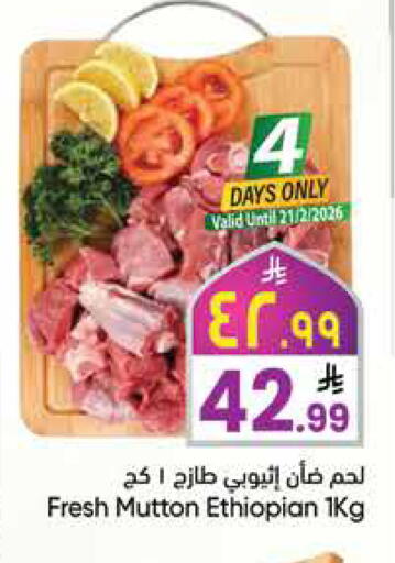 available at ستي فلاور in مملكة العربية السعودية, السعودية, سعودية - سكاكا