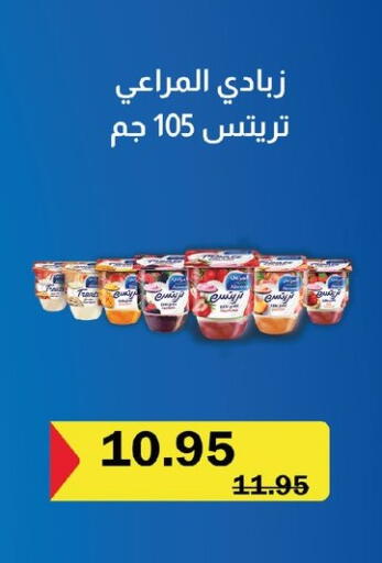 available at Flamingo Hyper Market in Egypt - Cairo