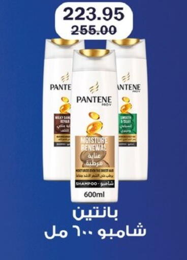 available at Flamingo Hyper Market in Egypt - Cairo