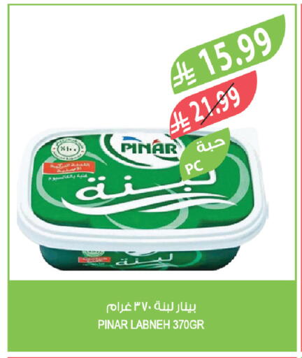 available at المزرعة in مملكة العربية السعودية, السعودية, سعودية - القطيف‎