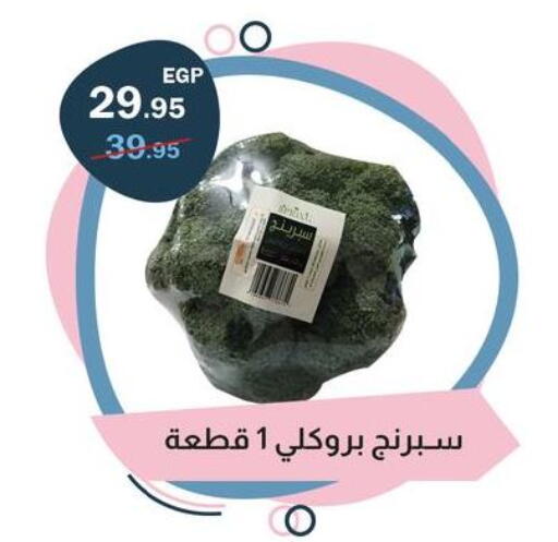 available at Flamingo Hyper Market in Egypt - Cairo