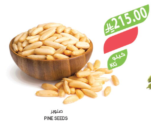 available at Farm  in KSA, Saudi Arabia, Saudi - Tabuk