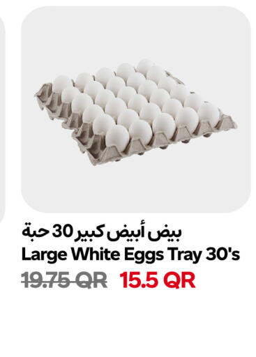 available at Snoomart in Qatar - Al-Shahaniya