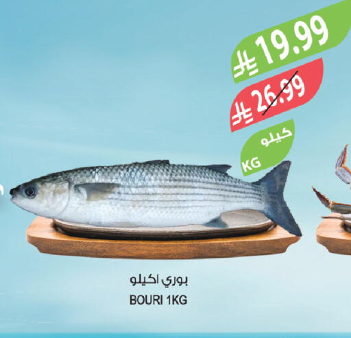 available at Farm  in KSA, Saudi Arabia, Saudi - Tabuk