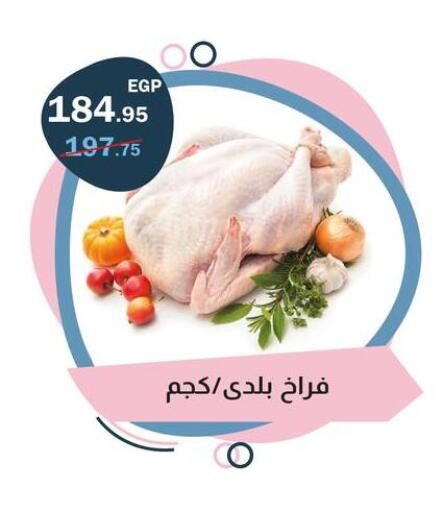 available at Flamingo Hyper Market in Egypt - Cairo