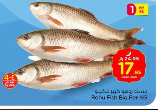 available at نستو in مملكة العربية السعودية, السعودية, سعودية - الجبيل‎