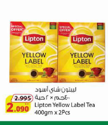 available at Agricultural Food Products Co. in Kuwait - Jahra Governorate