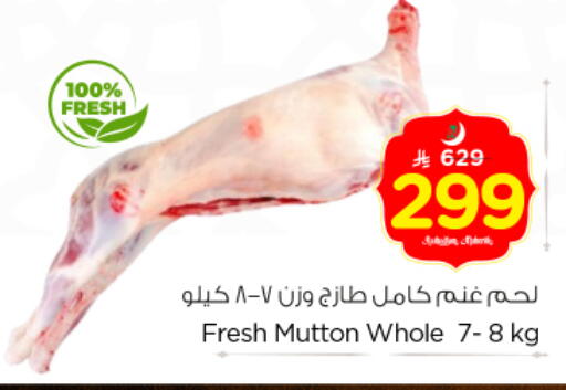 available at نستو in مملكة العربية السعودية, السعودية, سعودية - بريدة