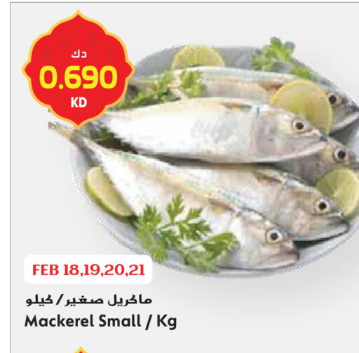 available at Grand Hyper in Kuwait - Ahmadi Governorate