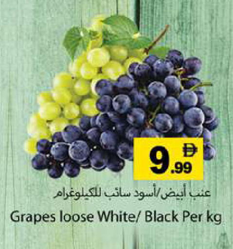 Grapes available at جلف هايبرماركت ذ.م.م in الإمارات العربية المتحدة , الامارات - رَأْس ٱلْخَيْمَة