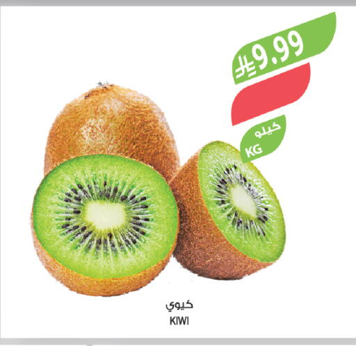 Kiwi available at المزرعة in مملكة العربية السعودية, السعودية, سعودية - أبها