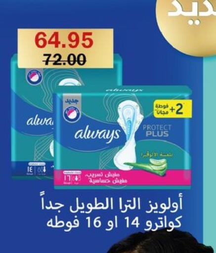 available at Flamingo Hyper Market in Egypt - Cairo