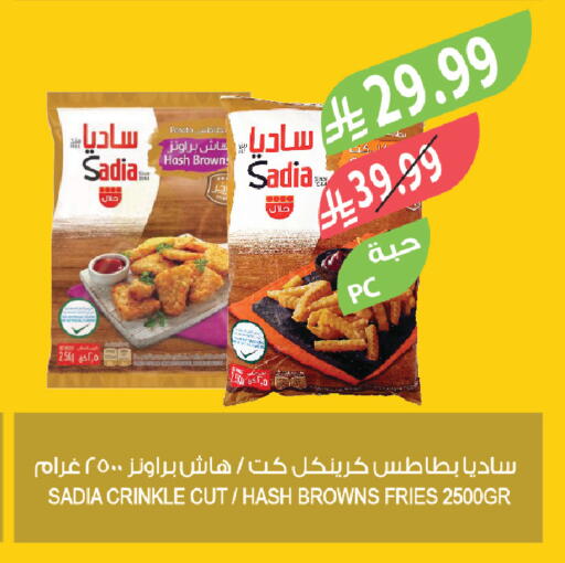 Potato available at Farm  in KSA, Saudi Arabia, Saudi - Khafji