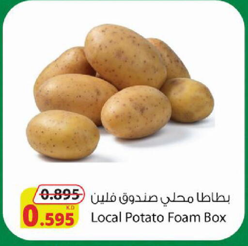Potato available at Agricultural Food Products Co. in Kuwait - Ahmadi Governorate