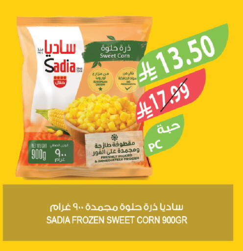 available at المزرعة in مملكة العربية السعودية, السعودية, سعودية - أبها