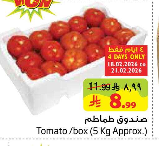 Tomato available at Layan Hyper in KSA, Saudi Arabia, Saudi - Dammam