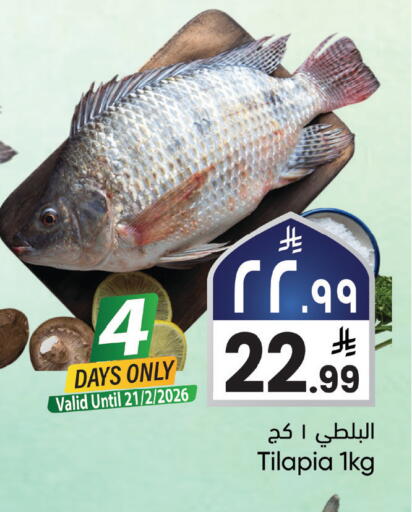 available at ستي فلاور in مملكة العربية السعودية, السعودية, سعودية - نجران