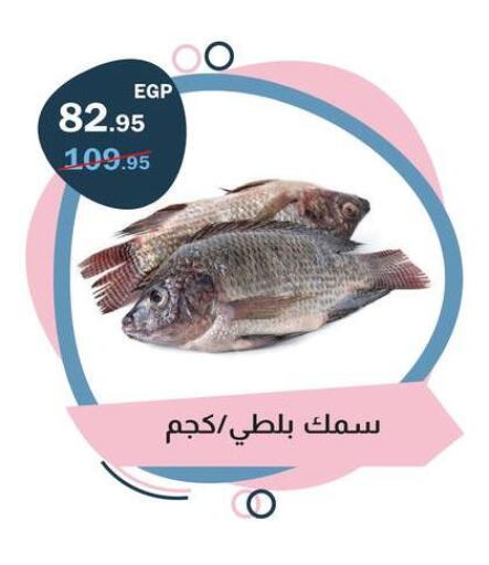 available at فلامنجو هايبرماركت in Egypt - القاهرة
